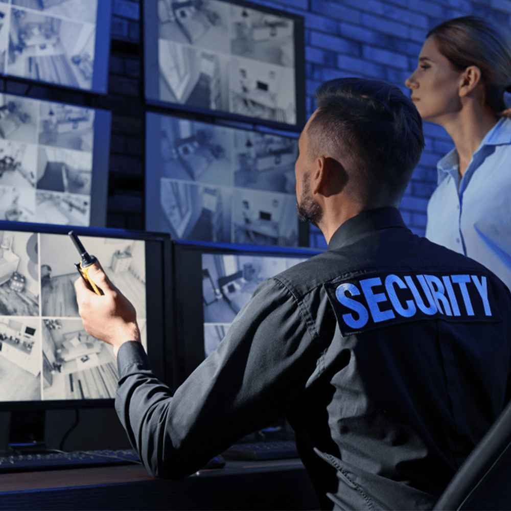 ZEM CCTV Security - Security Services UK